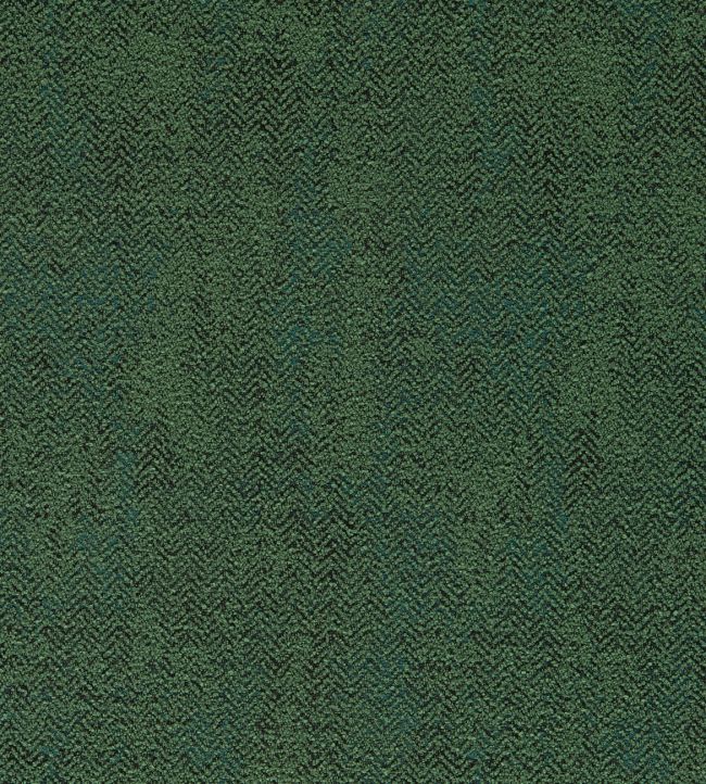 Bjorn Fabric by Clarke & Clarke Moss