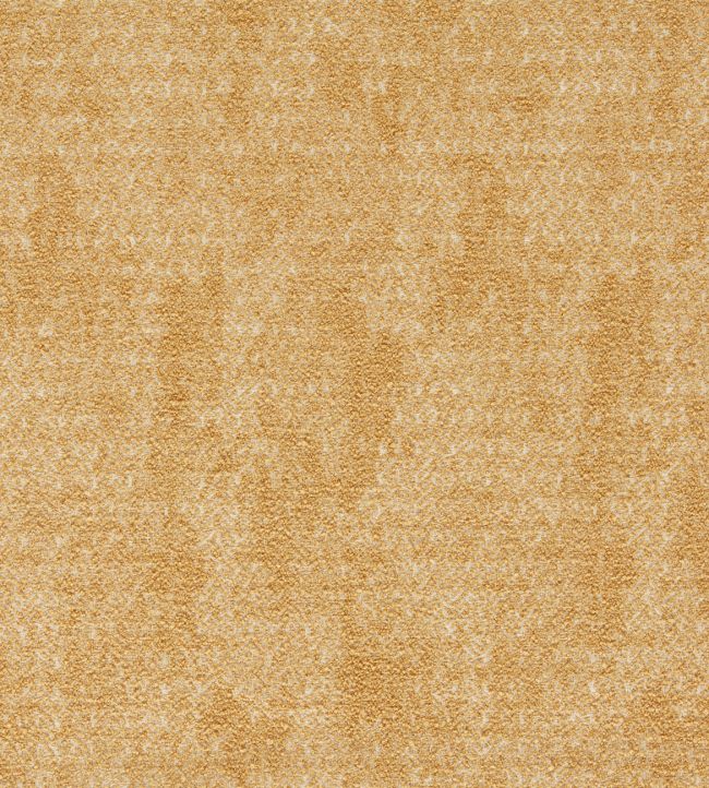 Bjorn Fabric by Clarke & Clarke Ochre