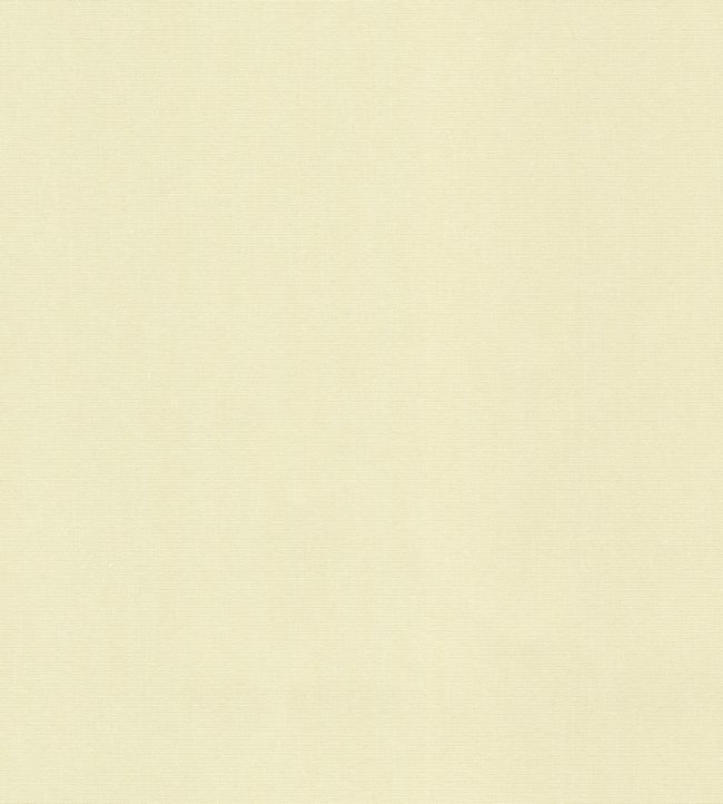 Blackout Lining - Cream by JC Cream