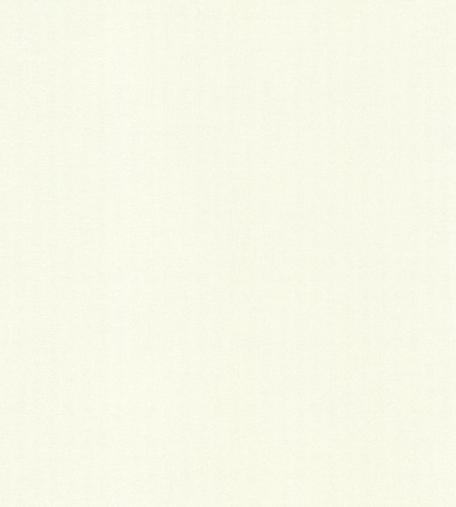 Blackout Lining - Pale Ivory by JC Pale Ivory
