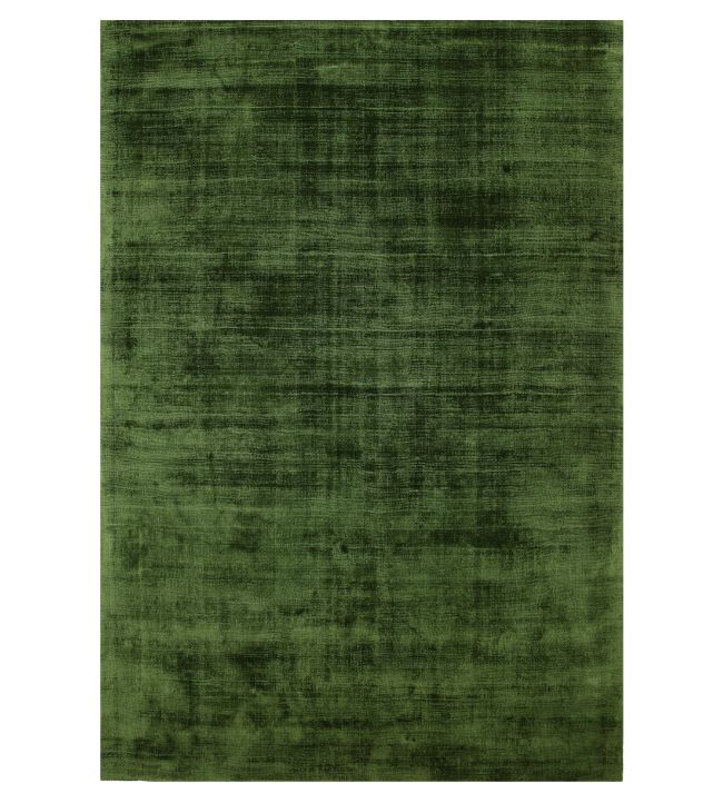 Asiatic Blade rug Green BLAD104-05-120170 Green