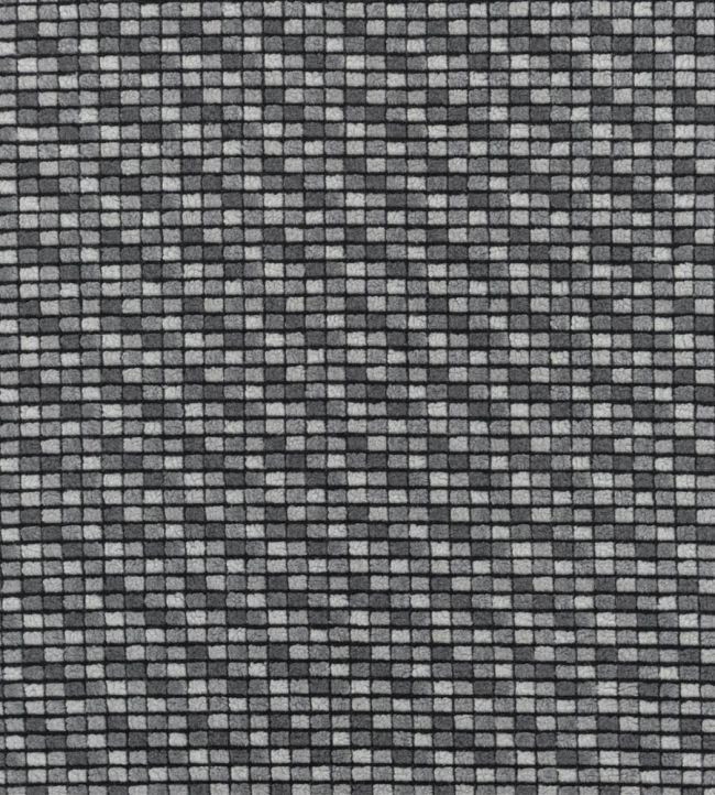 Blengdale Fabric by Designers Guild Graphite