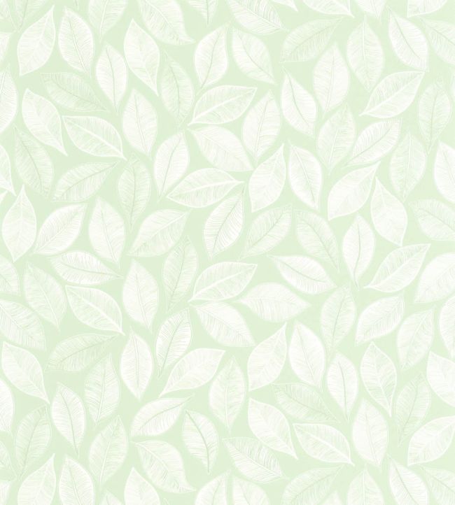 Bliss Wallpaper by Caselio Vert D'Eau