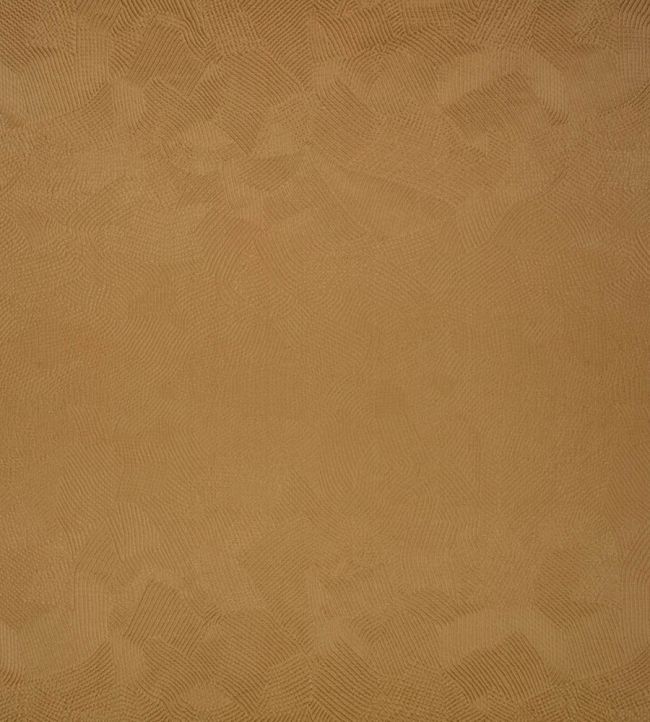 Boa Fabric by Black Edition Cumin
