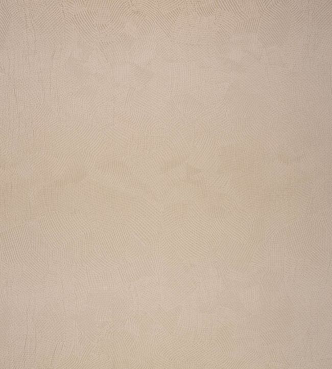 Boa Fabric by Black Edition Kudu