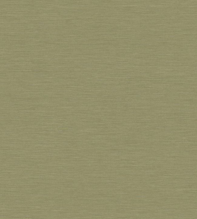 Boaco Wallpaper by Casadeco Vert The