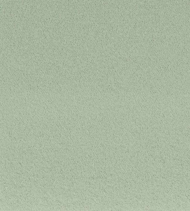 Boccoli Fabric by Camengo Celadon