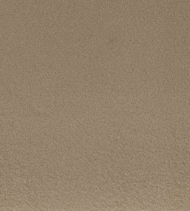 Boccoli Fabric by Camengo Chamois