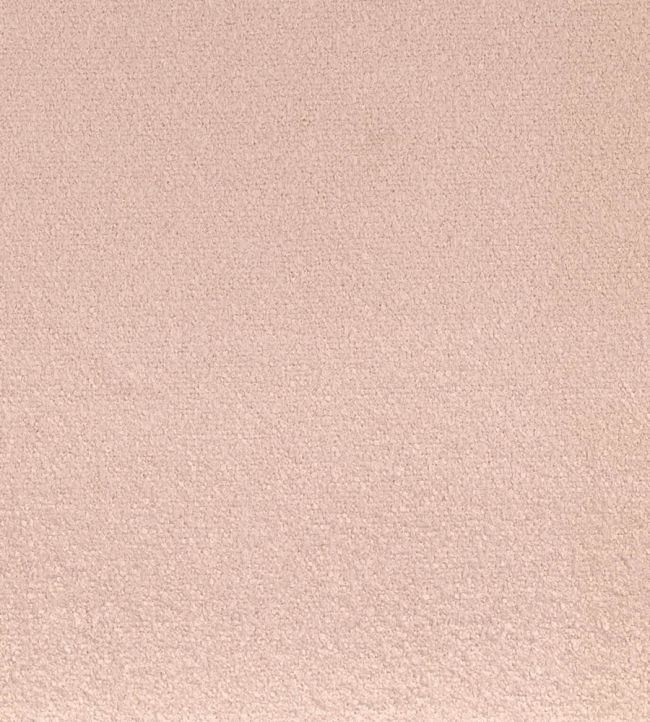 Boccoli Fabric by Camengo Nude