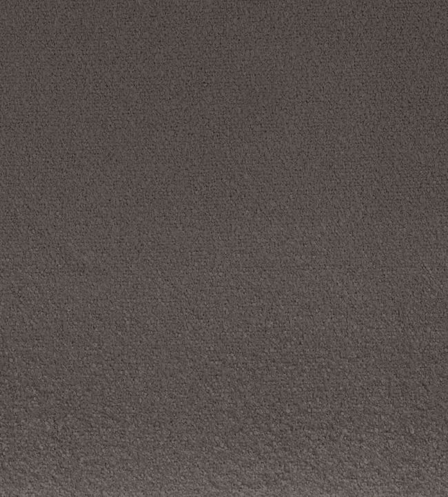 Boccoli Fabric by Camengo Reglisse