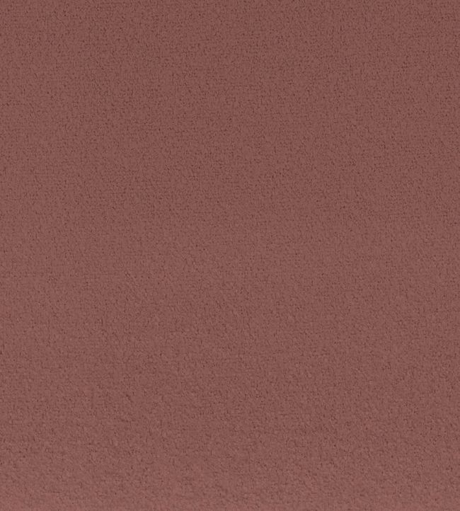 Boccoli Fabric by Camengo Tomette