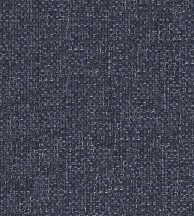 Boisdale Fabric by Wemyss Galactic