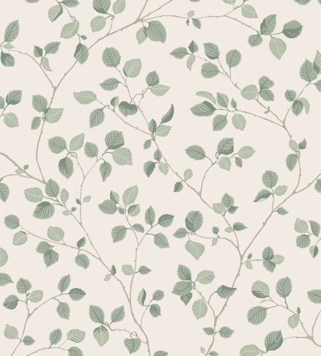 Bokskog Wallpaper by Sandberg Garden Green