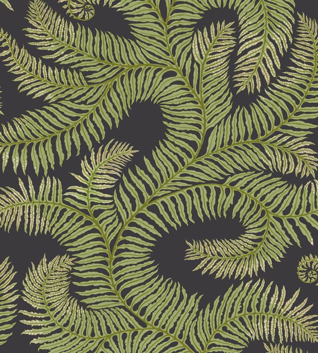 Bombe's Fernery Wallpaper by Josephine Munsey Dark Grey and Green