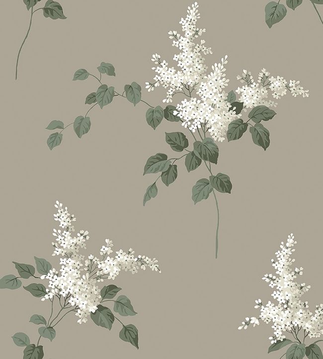 Lilacs Wallpaper by Borastapeter 67