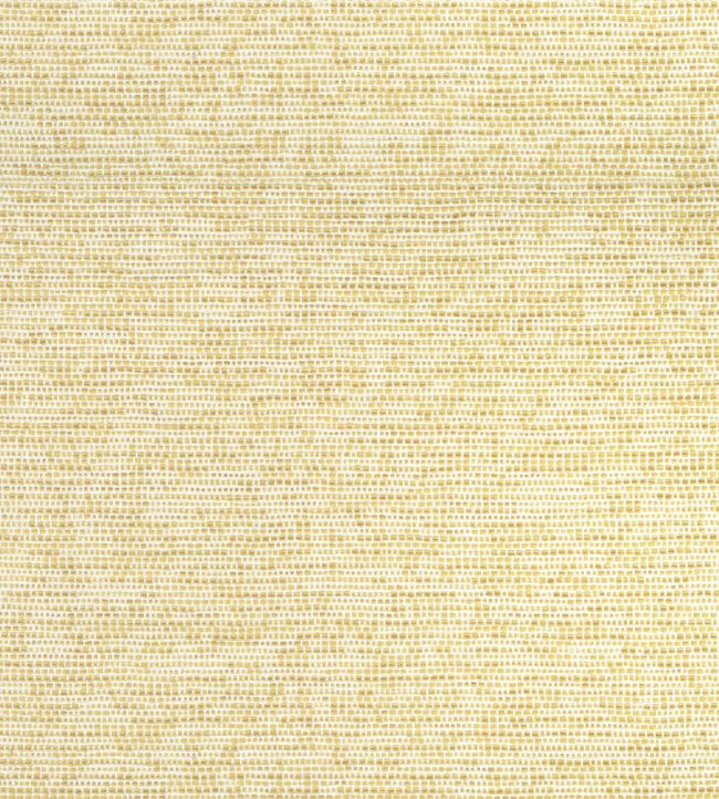 Borealis Fabric by Thibaut Buttercup