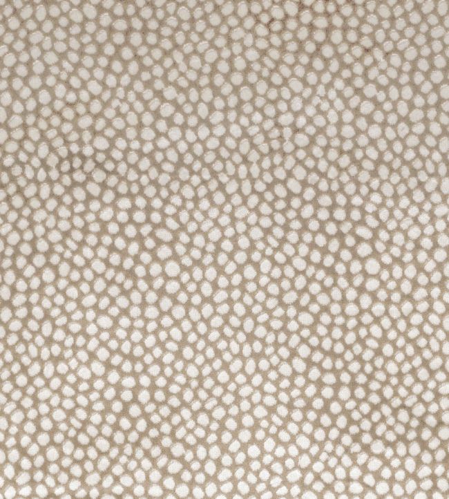 Borla Fabric by Camengo Sable