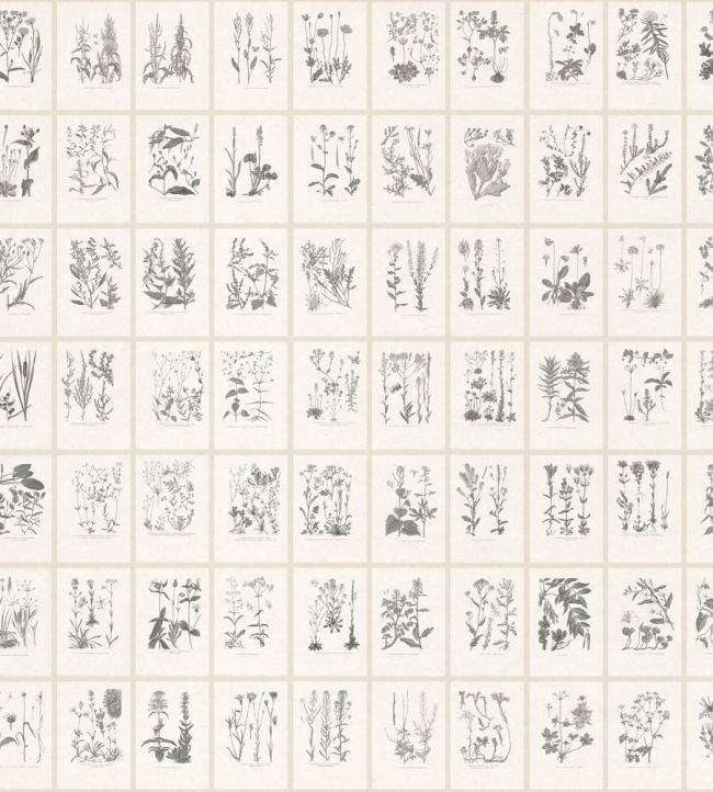 Botanica Mural by Sandberg Graphite