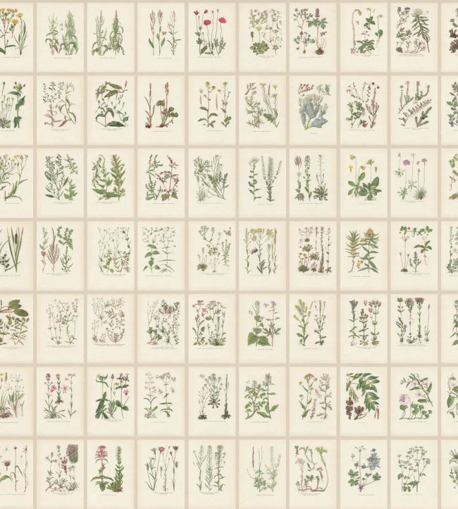 Botanica Mural by Sandberg Oat