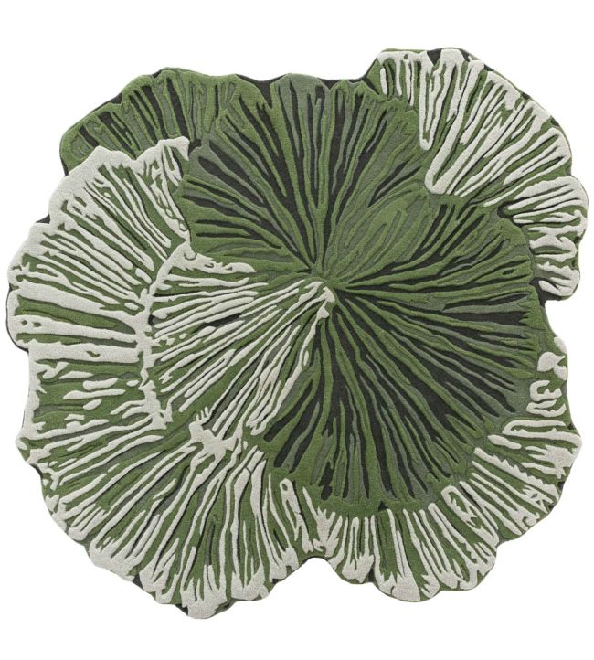 GAN Botanica rug Green 450981 Green
