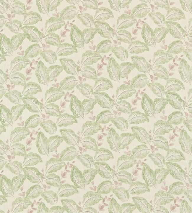 Box Hill Fabric by Sanderson Moss/Cream