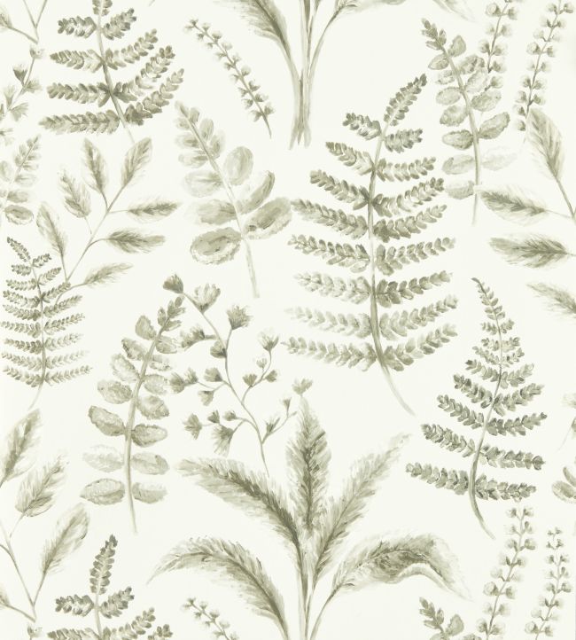 Bracken Wallpaper by Clarke & Clarke Natural