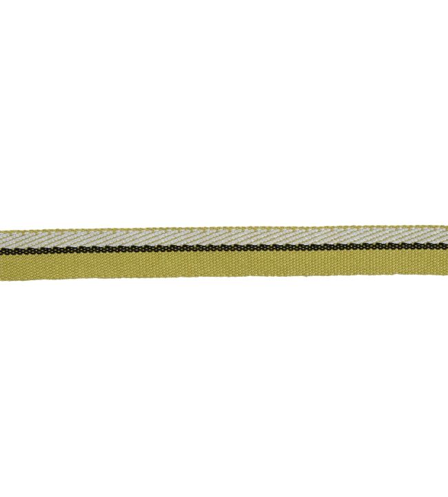 Braid 15mm Trimming by Houles 9730