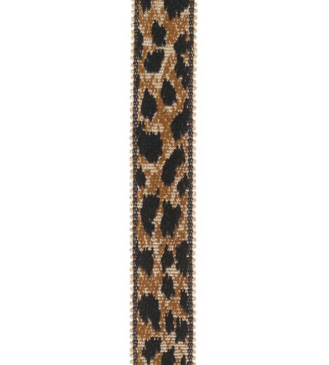 Braid 18mm Trimming by Houles 9800