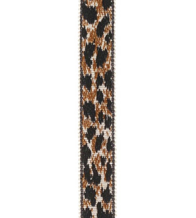 Braid 18mm Trimming by Houles 9810