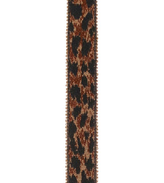 Braid 18mm Trimming by Houles 9830