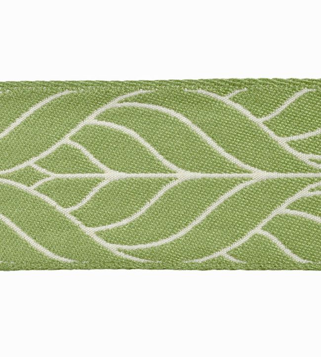 Brasilia Jacquard Braid 80mm Trimming by Houles Sauge