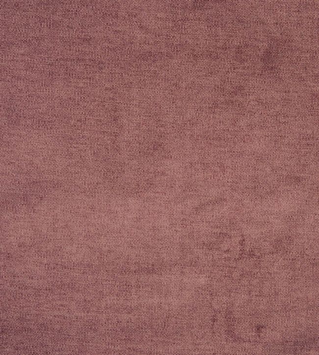 Bravo Fabric by Prestigious Textiles Dark Rose