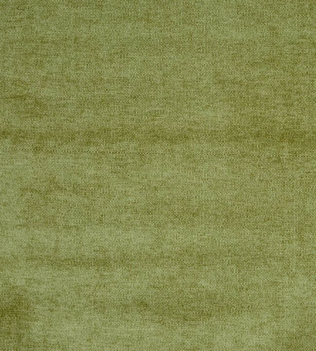 Bravo Fabric by Prestigious Textiles Olive