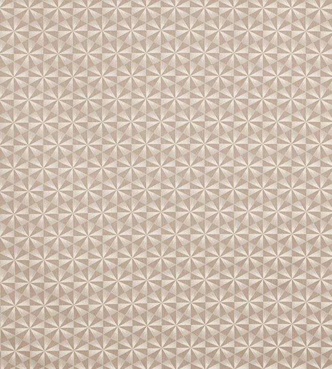 Braxton Fabric by Prestigious Textiles Earth