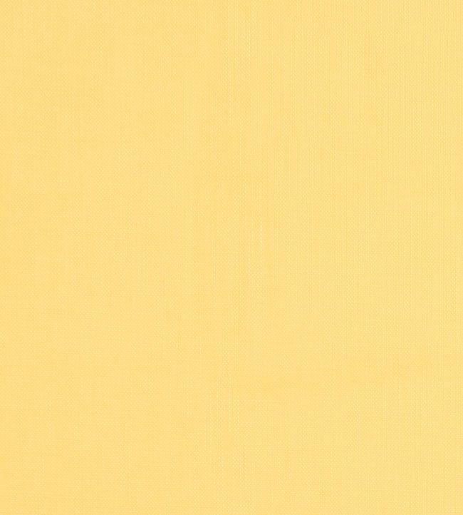 Brynn Fabric by Thibaut Daisy