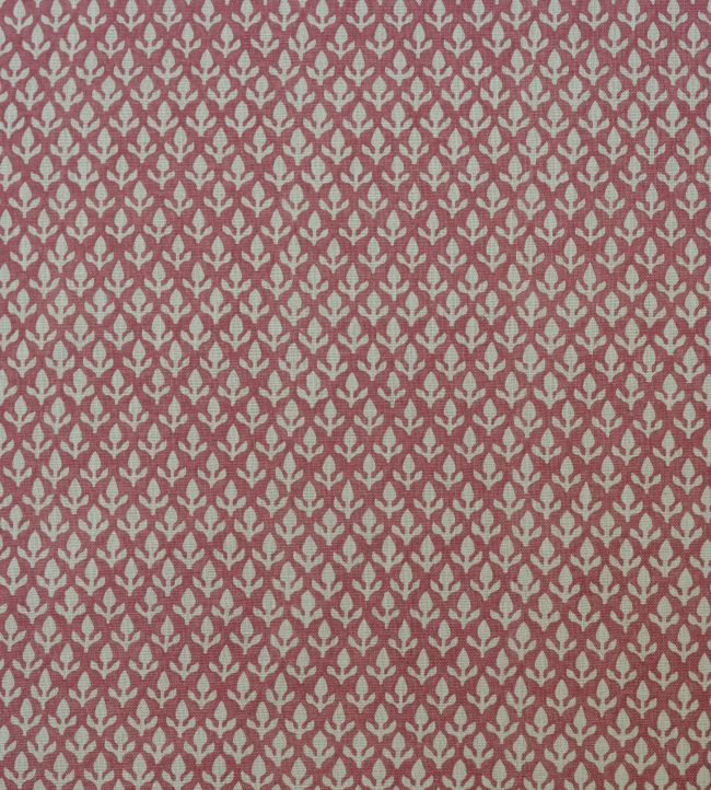 Bud Fabric by Andrew Martin Pink