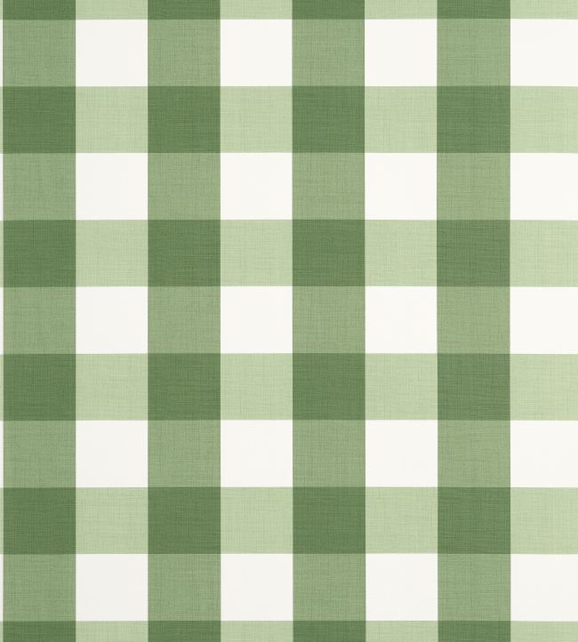Buffalo Check Wallpaper by Thibaut Green