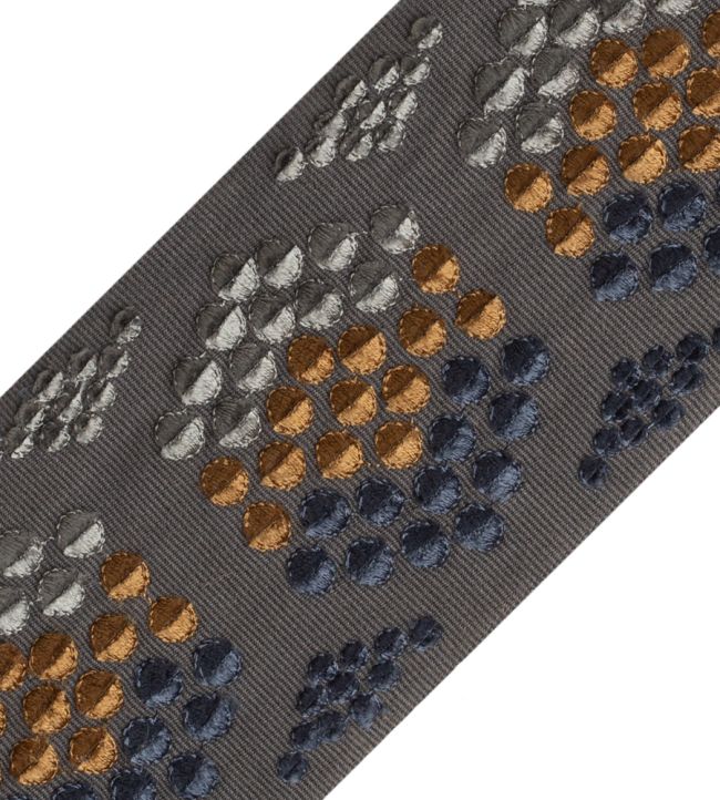 Bumblebee Velvet Border Trimming by Samuel & Sons Meteor