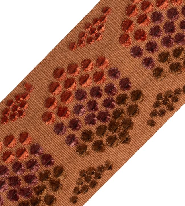 Bumblebee Velvet Border Trimming by Samuel & Sons Spice