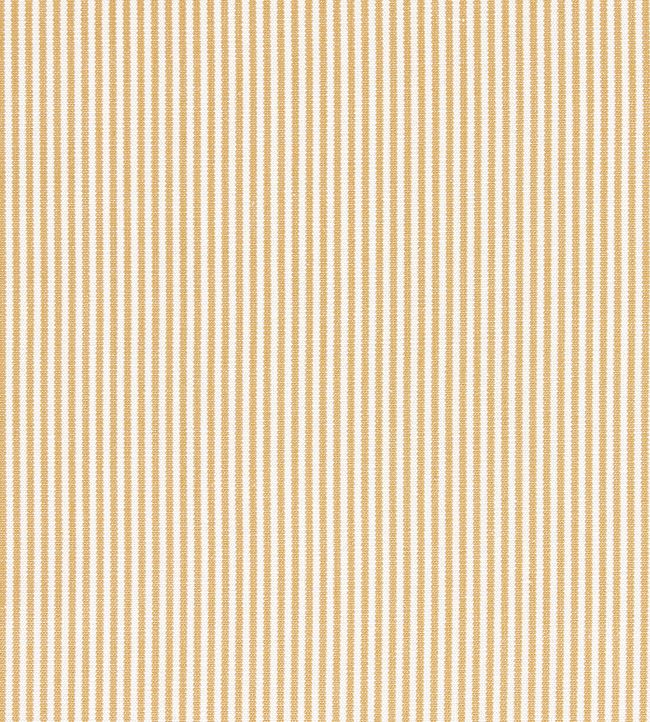 Burnham Fabric by Sanderson Wild Honey