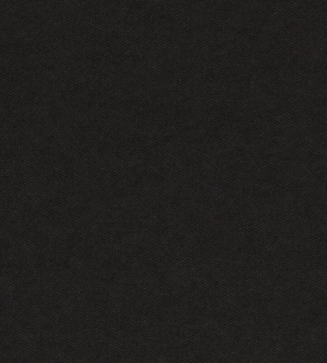 Bute Fabric by Wemyss Black