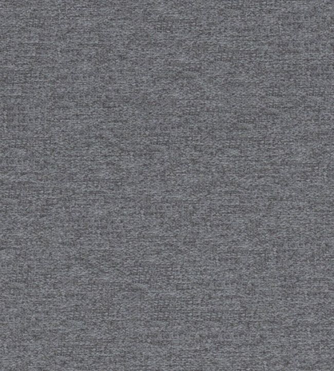 Bute Fabric by Wemyss Phantom