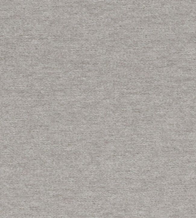 Bute Fabric by Wemyss Platinum