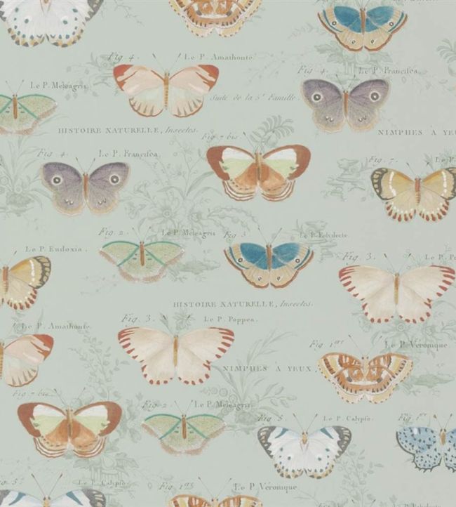 Butterfly Studies Wallpaper by Designers Guild Eau De Nil