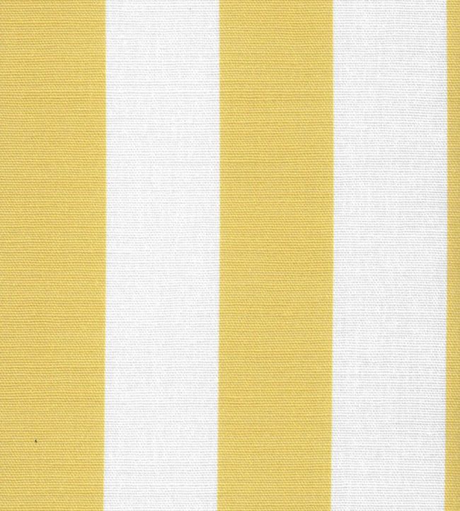 Cabana Stripe Fabric by Kate Medlicott Macaron