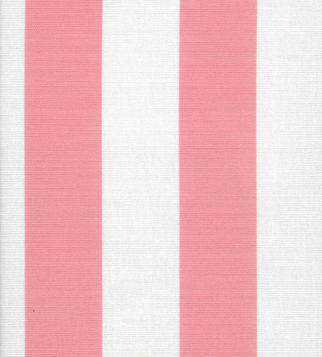 Cabana Stripe Fabric by Kate Medlicott Panther