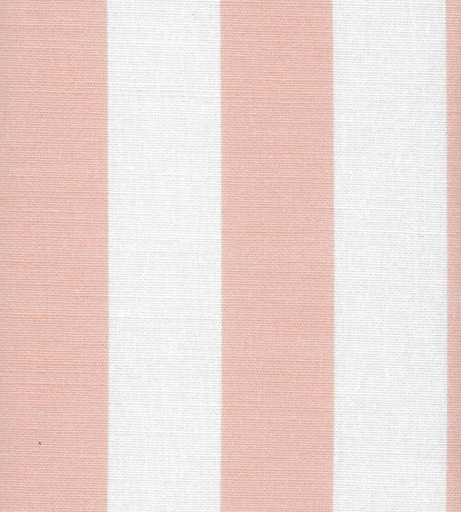 Cabana Stripe Fabric by Kate Medlicott Rose