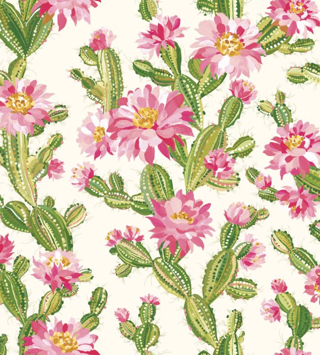 Cactus Bloom Wallpaper by Ohpopsi Rasperry Ripple