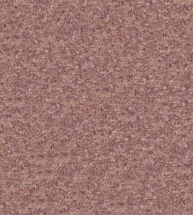 Cadenza Fabric by Designers Guild Blossom