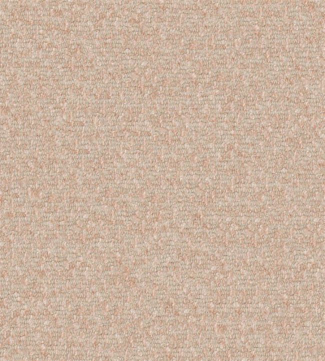 Cadenza Fabric by Designers Guild Cameo
